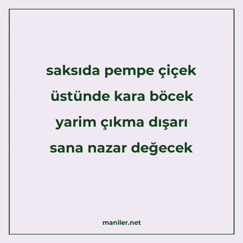saksıda pempe çiçek üstünde kara böcek yarim çıkma dışarı sa manisi görseli