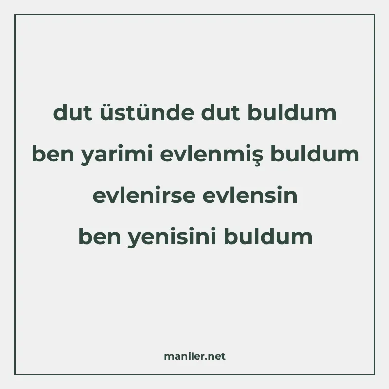 dut üstünde dut buldum ben yarimi evlenmiş buldum evlenirse manisi görseli