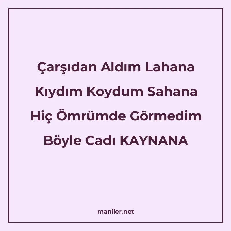 Çarşıdan Aldım Lahana Kıydım Koydum Sahana Hiç Ömrümde Görme manisi görseli