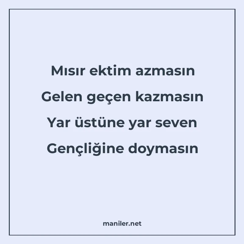 Mısır ektim azmasın Gelen geçen kazmasın Yar üstüne yar seve manisi görseli