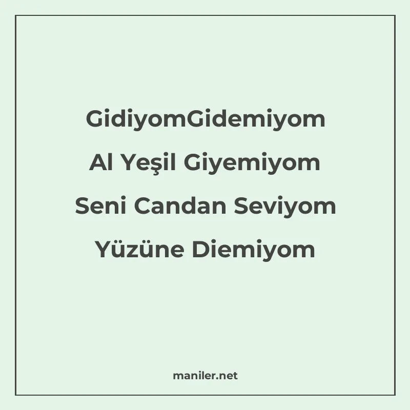 GidiyomGidemiyom Al Yeşil Giyemiyom Seni Candan Seviyom Yüzü manisi görseli