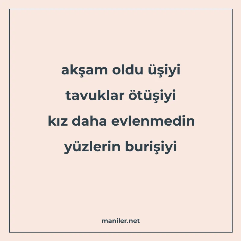 akşam oldu üşiyi tavuklar ötüşiyi kız daha evlenmedin yüzler manisi görseli