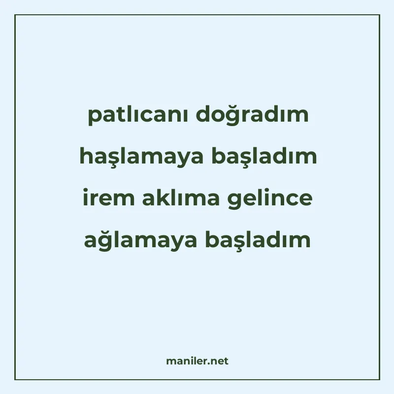 patlıcanı doğradım haşlamaya başladım irem aklıma gelince ağ manisi görseli
