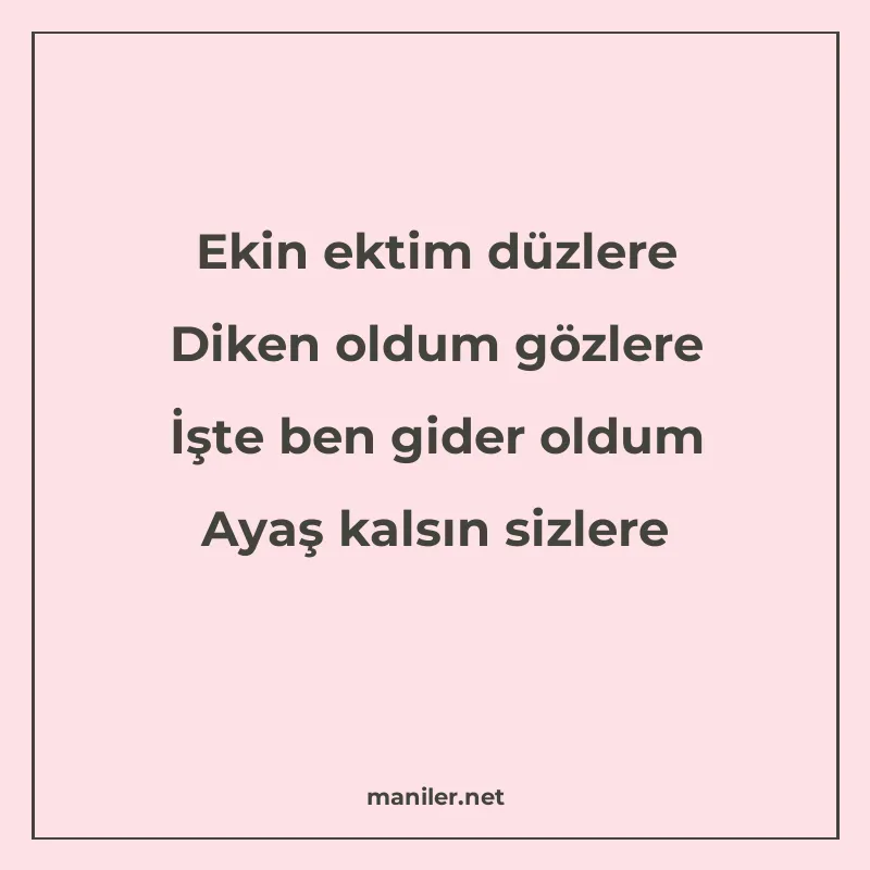 Ekin ektim düzlere Diken oldum gözlere İşte ben gider oldum manisi görseli