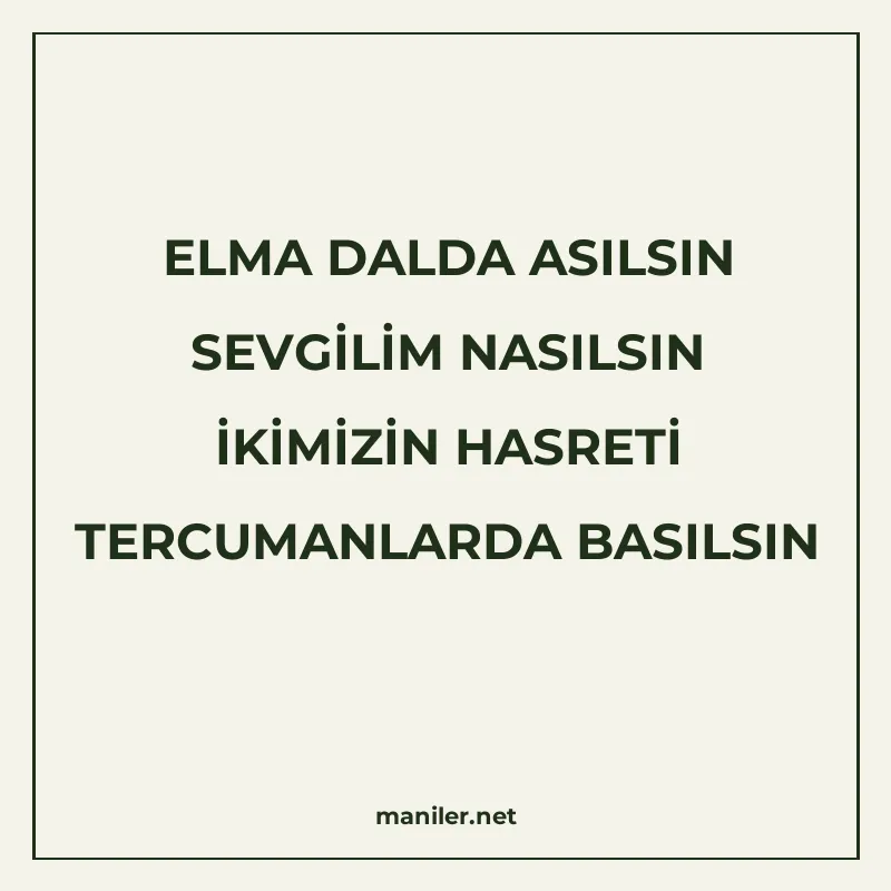 ELMA DALDA ASILSIN SEVGİLİM NASILSIN İKİMİZİN HASRETİ TERCUM manisi görseli