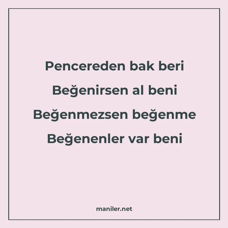 Pencereden bak beri Beğenirsen al beni Beğenmezsen beğenme B manisi görseli