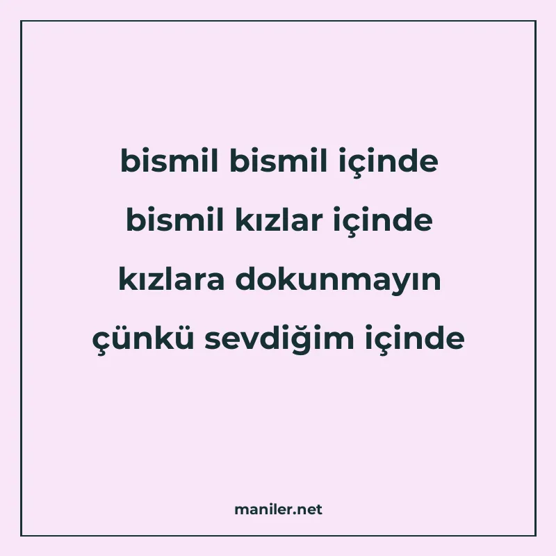 bismil bismil içinde bismil kızlar içinde kızlara dokunmayın manisi görseli
