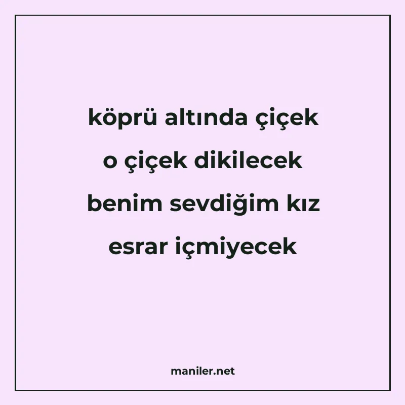 köprü altında çiçek o çiçek dikilecek benim sevdiğim kız esr manisi görseli