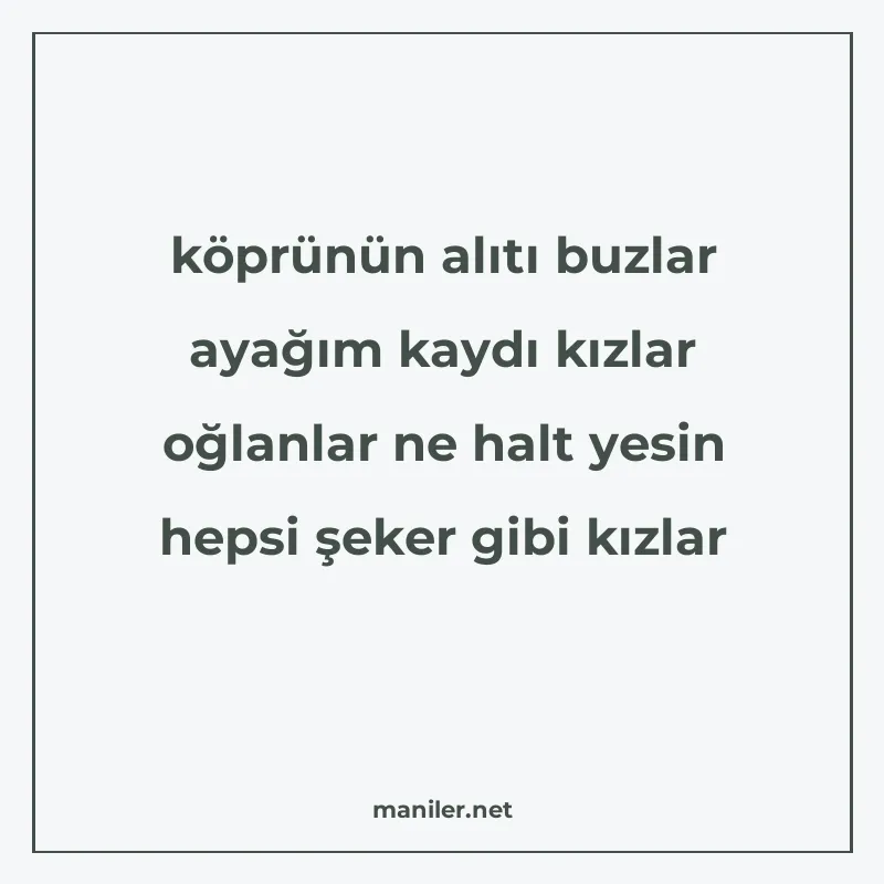 köprünün alıtı buzlar ayağım kaydı kızlar oğlanlar ne halt y manisi görseli