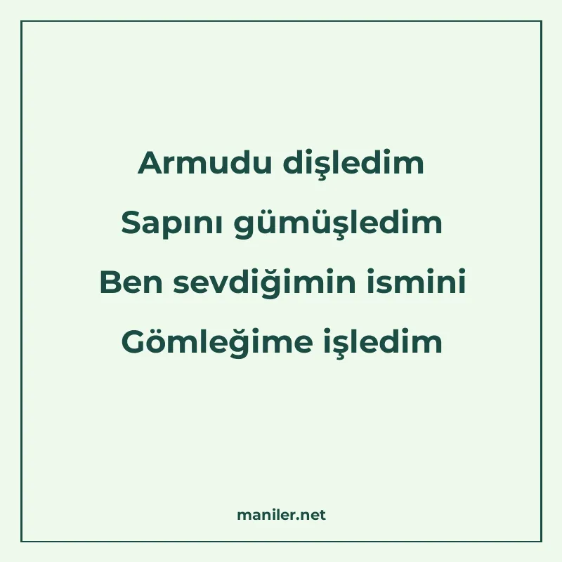 Armudu dişledim Sapını gümüşledim Ben sevdiğimin ismini Göml manisi görseli