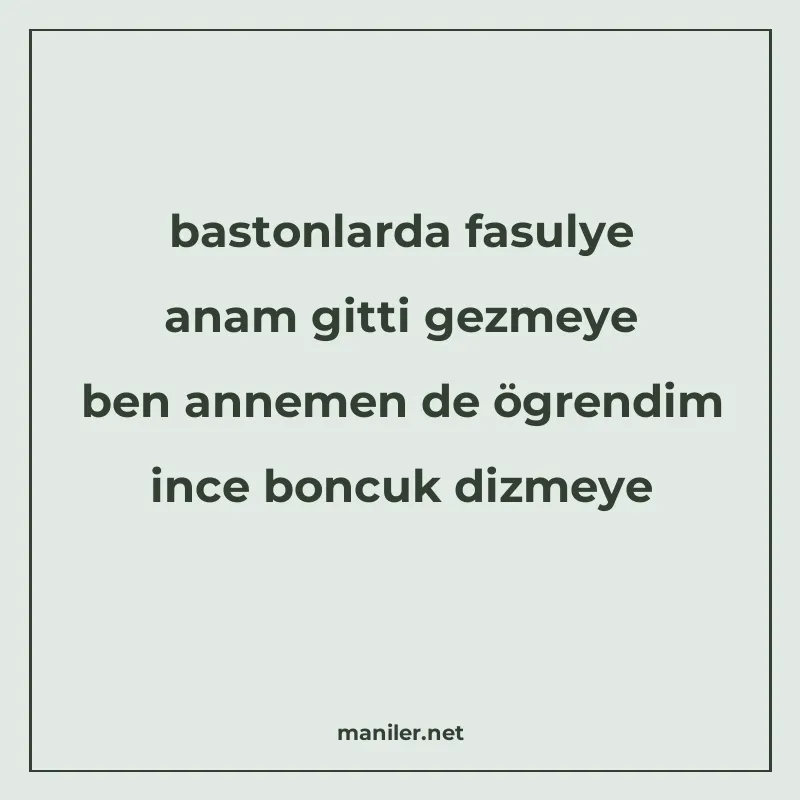 bastonlarda fasulye anam gitti gezmeye ben annemen de ögrend manisi görseli