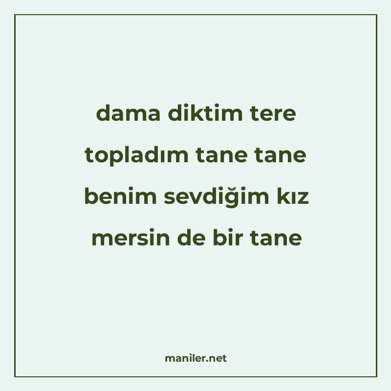 dama diktim tere topladım tane tane benim sevdiğim kız mersi manisi görseli