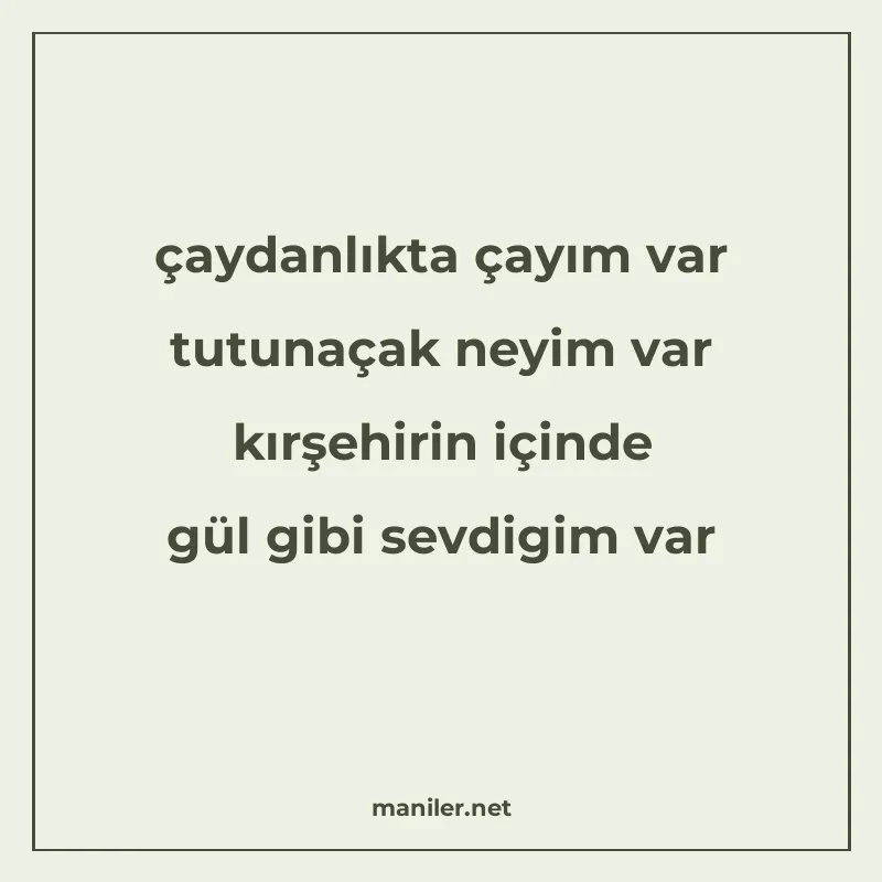 çaydanlıkta çayım var tutunaçak neyim var kırşehirin içinde