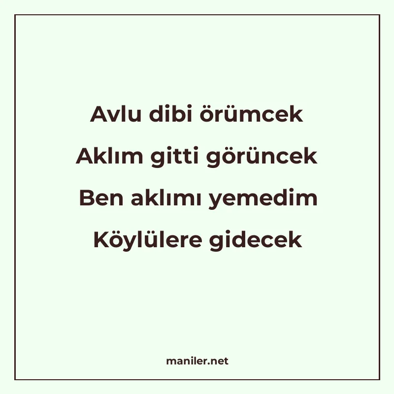 Avlu dibi örümcek Aklım gitti görüncek Ben aklımı yemedim Kö manisi görseli