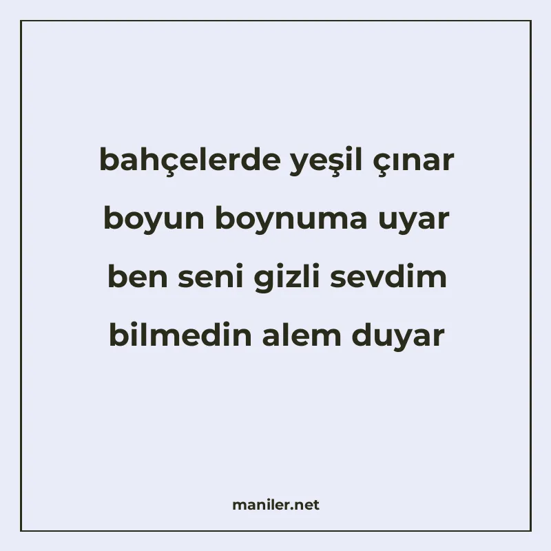 bahçelerde yeşil çınar boyun boynuma uyar ben seni gizli sev manisi görseli