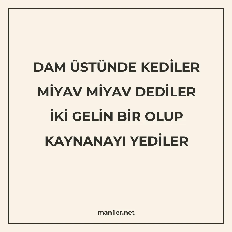 DAM ÜSTÜNDE KEDİLER MİYAV MİYAV DEDİLER İKİ GELİN BİR OLUP K manisi görseli