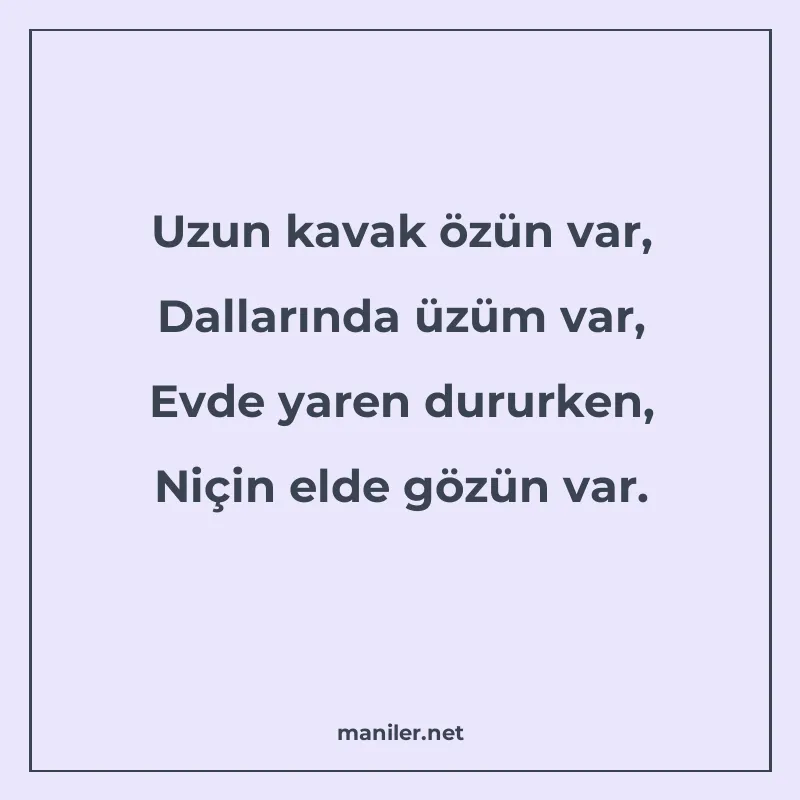 Uzun kavak özün var, Dallarında üzüm var, Evde yaren dururke manisi görseli