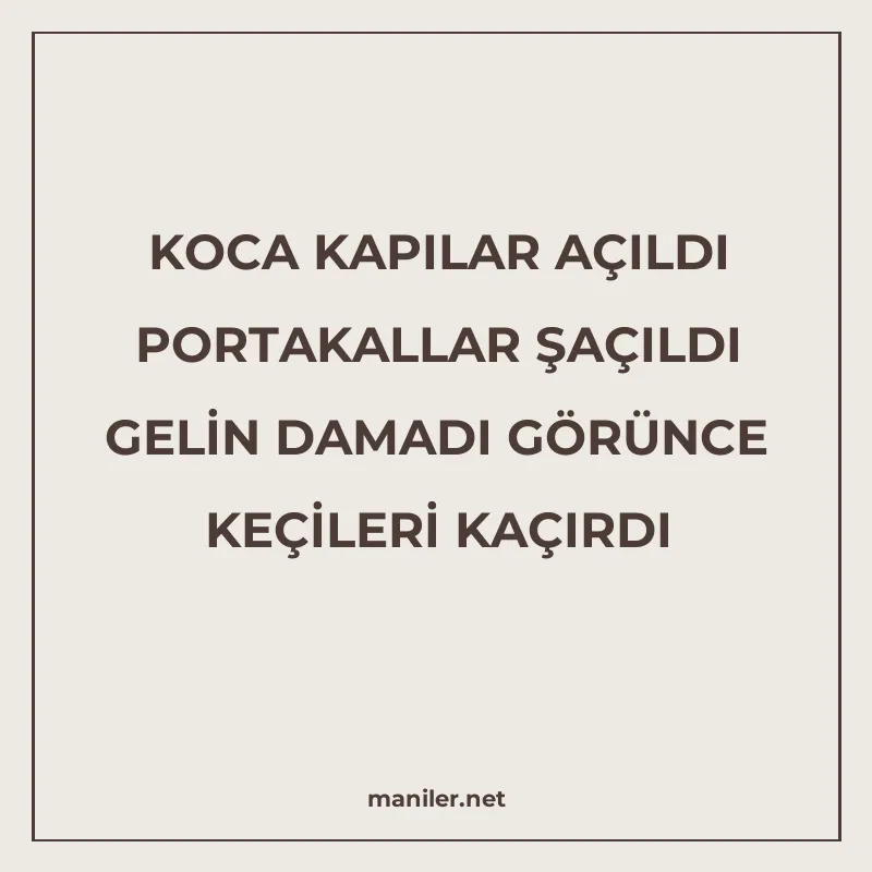KOCA KAPILAR AÇILDI PORTAKALLAR ŞAÇILDI GELİN DAMADI GÖRÜNCE manisi görseli
