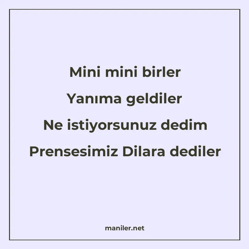 Mini mini birler Yanıma geldiler Ne istiyorsunuz dedim Prens manisi görseli