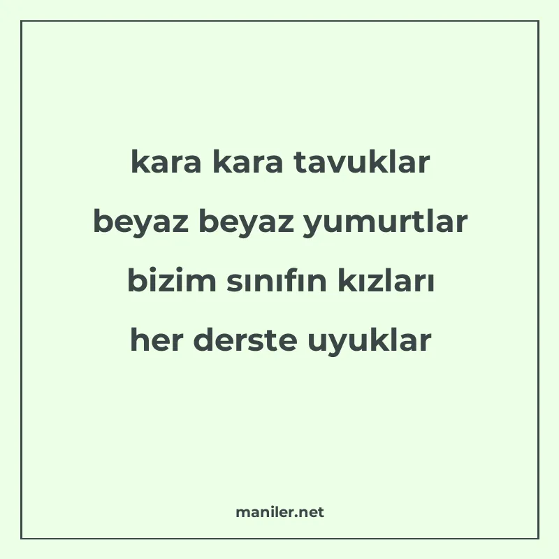 kara kara tavuklar beyaz beyaz yumurtlar bizim sınıfın kızla manisi görseli