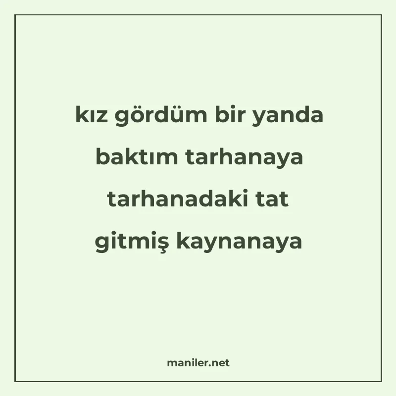 kız gördüm bir yanda baktım tarhanaya tarhanadaki tat gitmiş manisi görseli