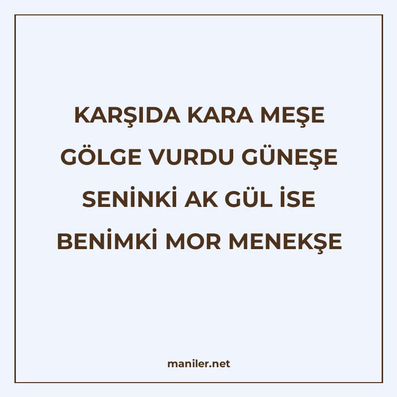 KARŞIDA KARA MEŞE GÖLGE VURDU GÜNEŞE SENİNKİ AK GÜL İSE BENİ manisi görseli