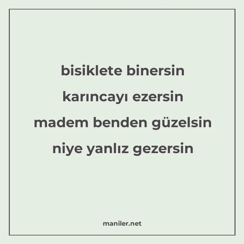bisiklete binersin karıncayı ezersin madem benden güzelsin n manisi görseli