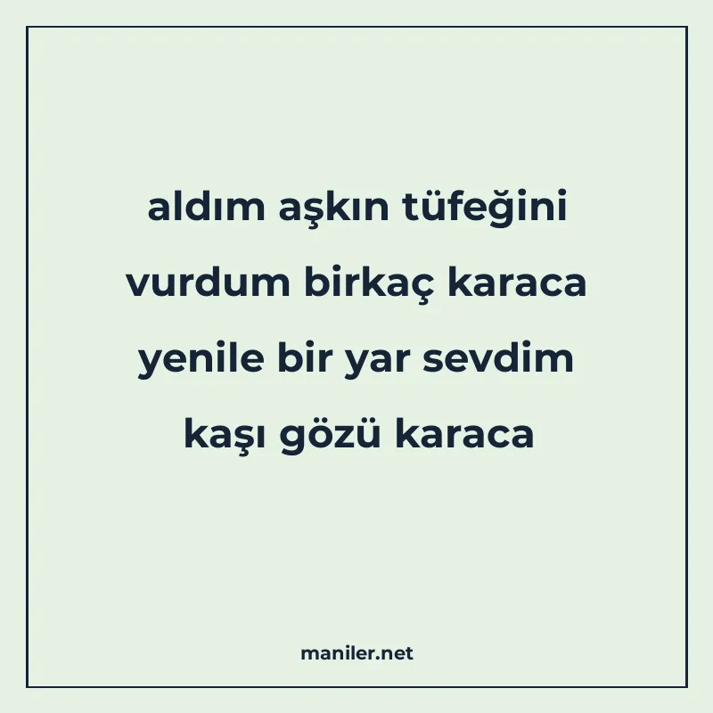 aldım aşkın tüfeğini vurdum birkaç karaca yenile bir yar sev manisi görseli