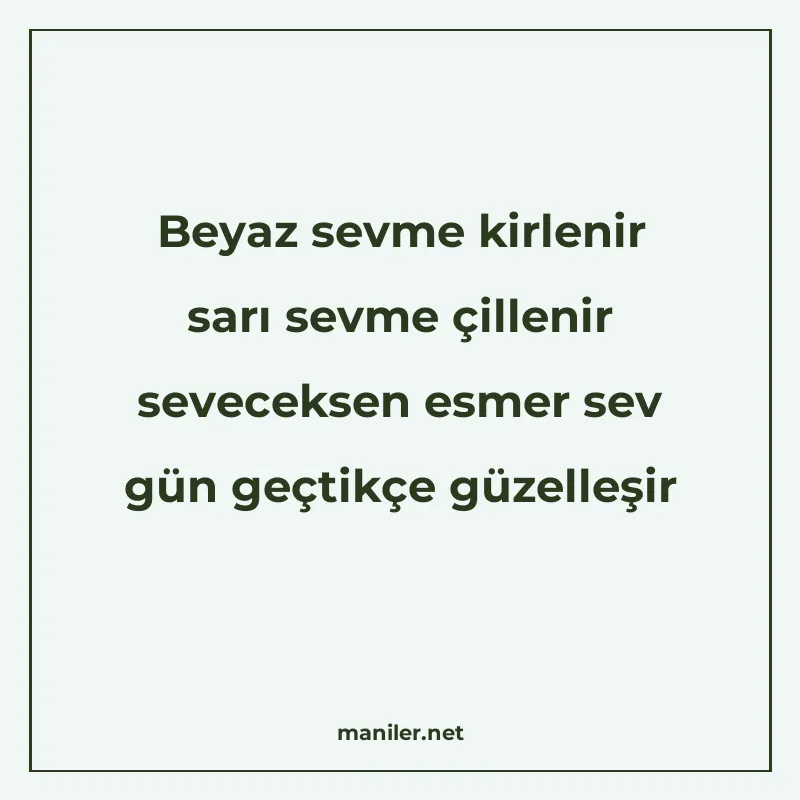 Beyaz sevme kirlenir sarı sevme çillenir seveceksen esmer se manisi görseli