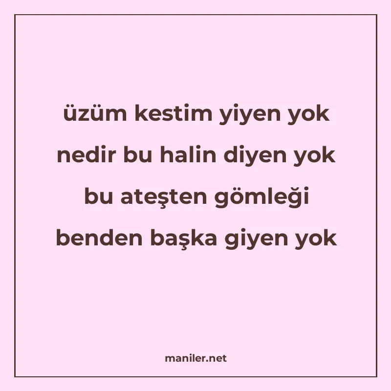 üzüm kestim yiyen yok nedir bu halin diyen yok bu ateşten gö manisi görseli