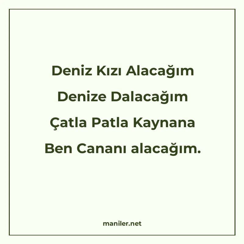 Deniz Kızı Alacağım Denize Dalacağım Çatla Patla Kaynana Ben manisi görseli