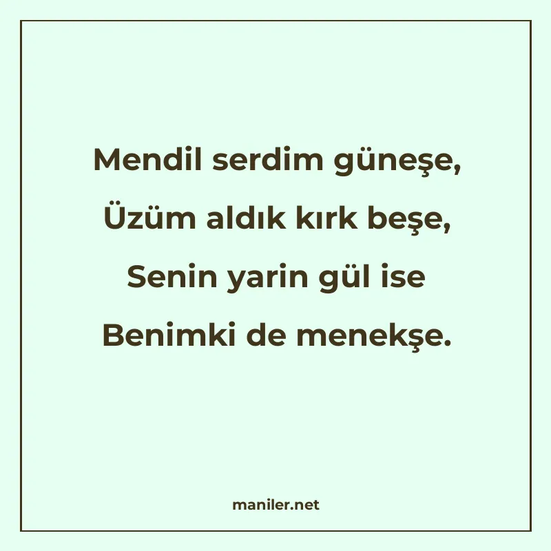 Mendil serdim güneşe, Üzüm aldık kırk beşe, Senin yarin gül manisi görseli