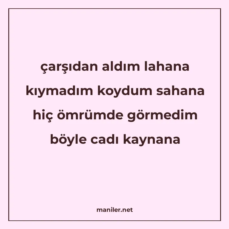 çarşıdan aldım lahana kıymadım koydum sahana hiç ömrümde gör manisi görseli