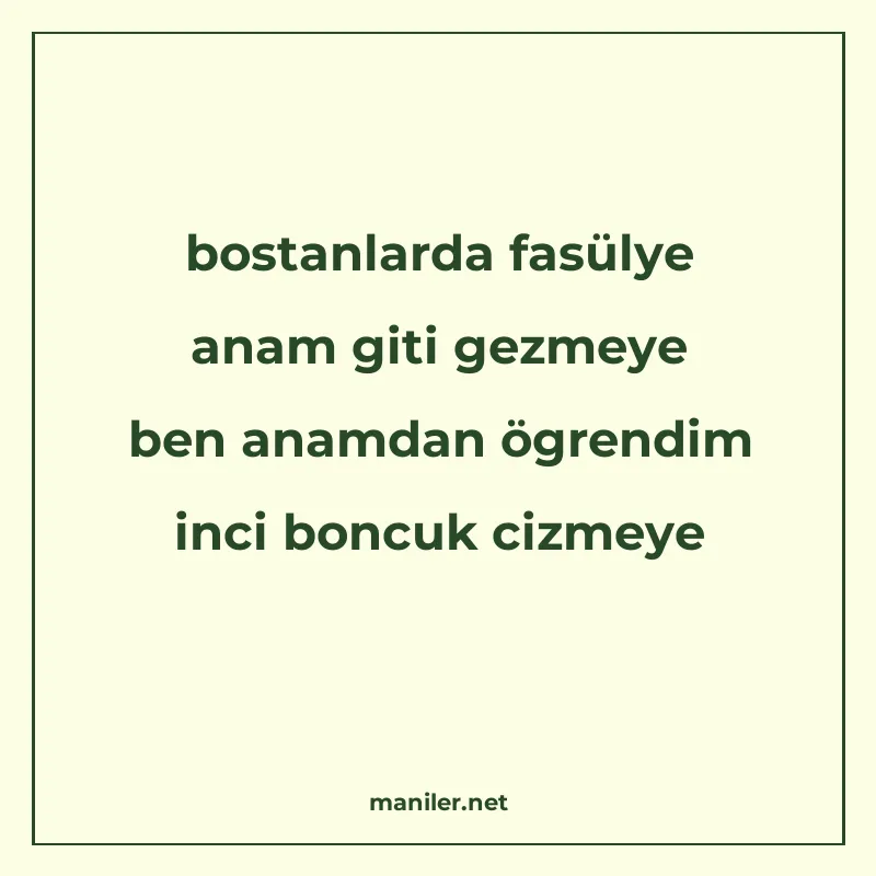 bostanlarda fasülye anam giti gezmeye ben anamdan ögrendim i manisi görseli