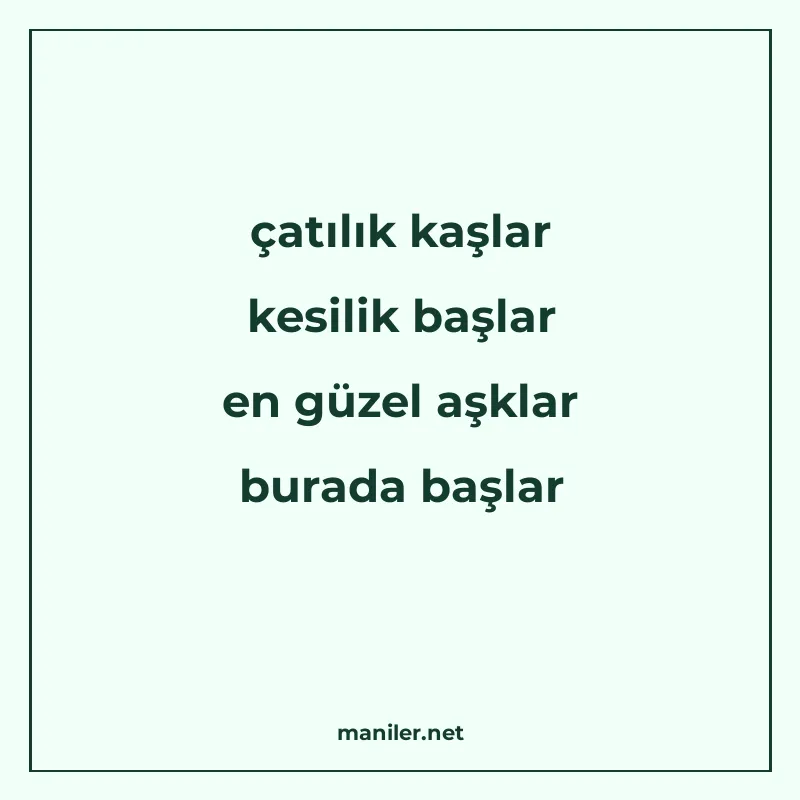 çatılık kaşlar kesilik başlar en güzel aşklar burada başlar manisi görseli