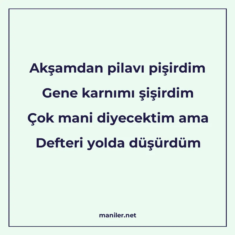 Akşamdan pilavı pişirdim Gene karnımı şişirdim Çok mani diye manisi görseli