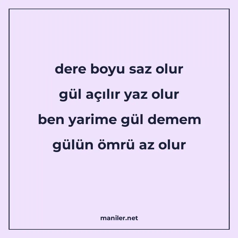 dere boyu saz olur gül açılır yaz olur ben yarime gül demem manisi görseli