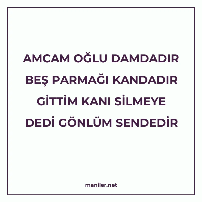 AMCAM OĞLU DAMDADIR BEŞ PARMAĞI KANDADIR GİTTİM KANI SİLMEYE manisi görseli