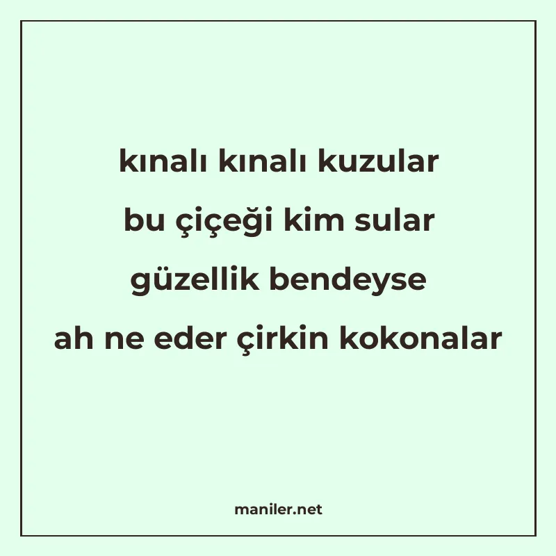 kınalı kınalı kuzular bu çiçeği kim sular güzellik bendeyse manisi görseli