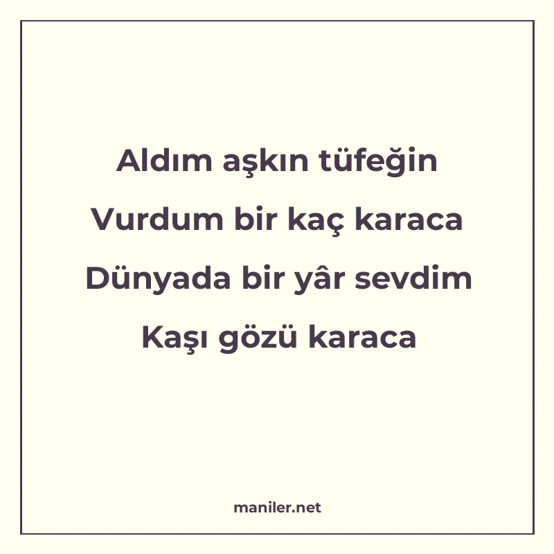 Aldım aşkın tüfeğin Vurdum bir kaç karaca Dünyada bir yâr se manisi görseli