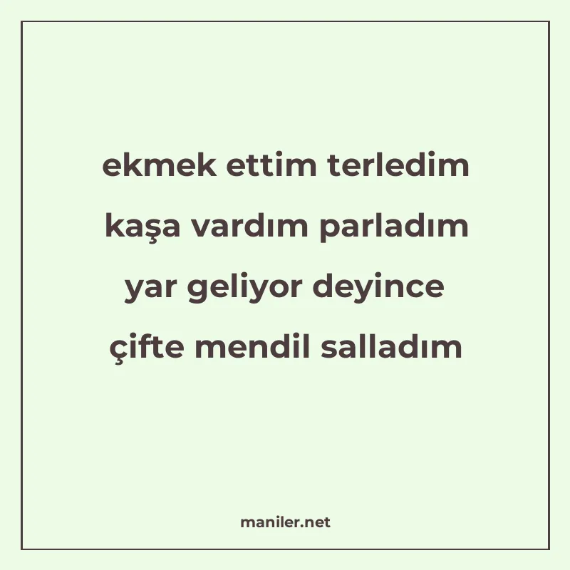 ekmek ettim terledim kaşa vardım parladım yar geliyor deyinc manisi görseli