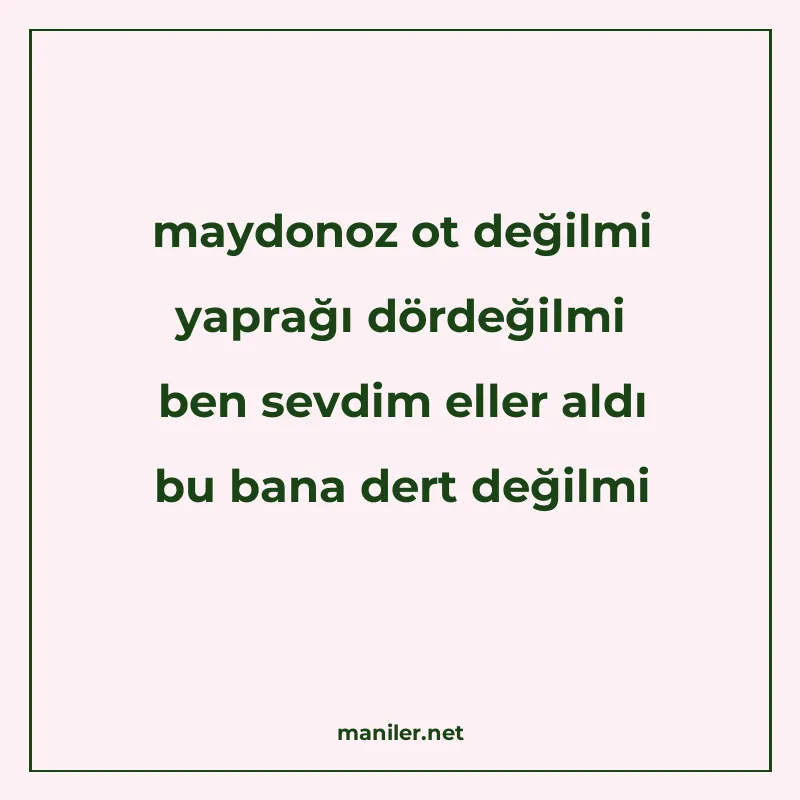 maydonoz ot değilmi yaprağı dördeğilmi ben sevdim eller aldı manisi görseli