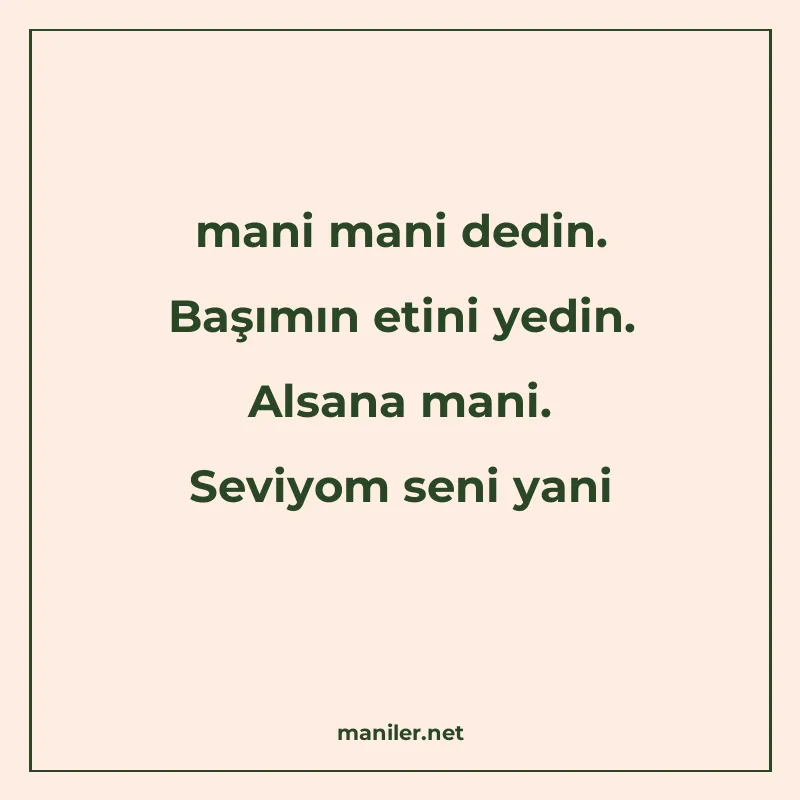 mani mani dedin. Başımın etini yedin. Alsana mani. Seviyom s manisi görseli