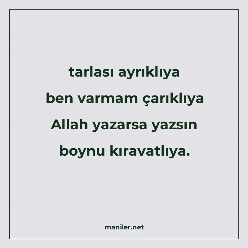 tarlası ayrıklıya ben varmam çarıklıya Allah yazarsa yazsın manisi görseli