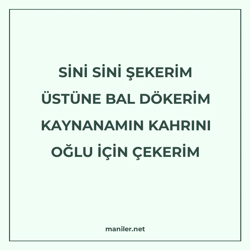 SİNİ SİNİ ŞEKERİM ÜSTÜNE BAL DÖKERİM KAYNANAMIN KAHRINI OĞLU manisi görseli