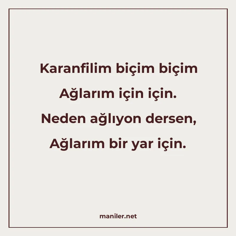 Karanfilim biçim biçim Ağlarım için için. Neden ağlıyon ders manisi görseli