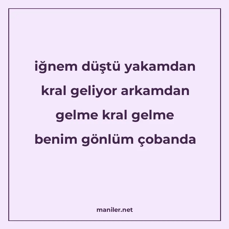 iğnem düştü yakamdan kral geliyor arkamdan gelme kral gelme manisi görseli