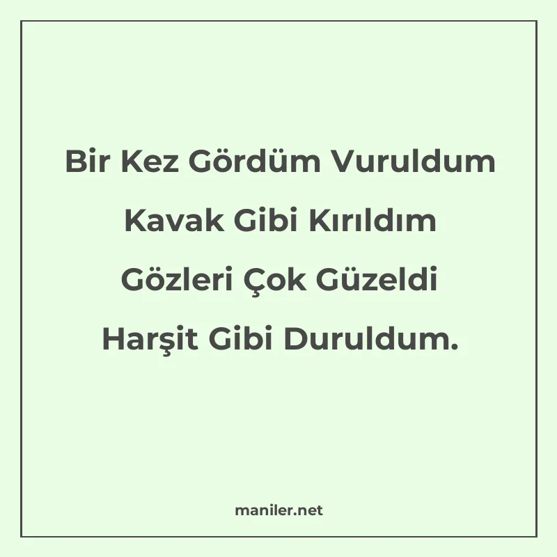 Bir Kez Gördüm Vuruldum Kavak Gibi Kırıldım Gözleri Çok Güze manisi görseli