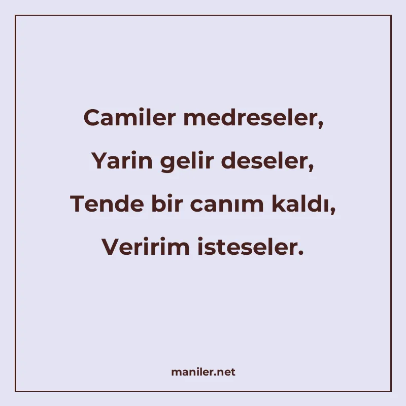 Camiler medreseler, Yarin gelir deseler, Tende bir canım kal manisi görseli