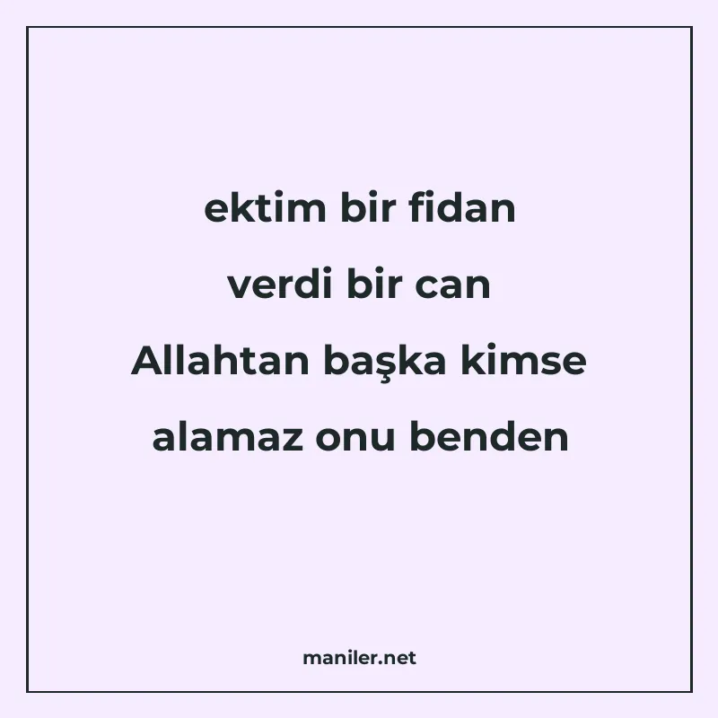 ektim bir fidan verdi bir can Allahtan başka kimse alamaz on manisi görseli